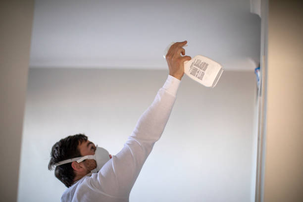 Best Mold Testing  in Downs, IL
