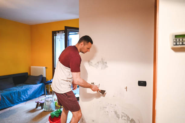 Best Crawl Space Mold Removal  in Downs, IL